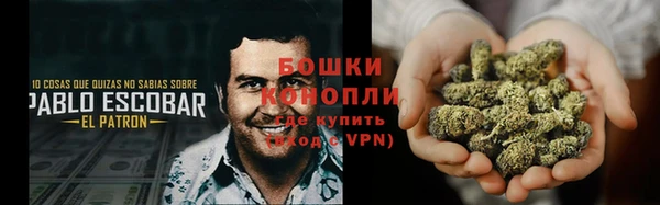 ECSTASY Бронницы