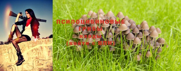 эйфоретик Бугульма