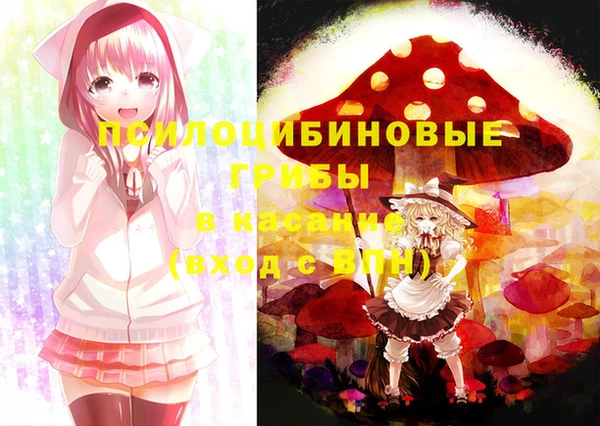 ECSTASY Бронницы